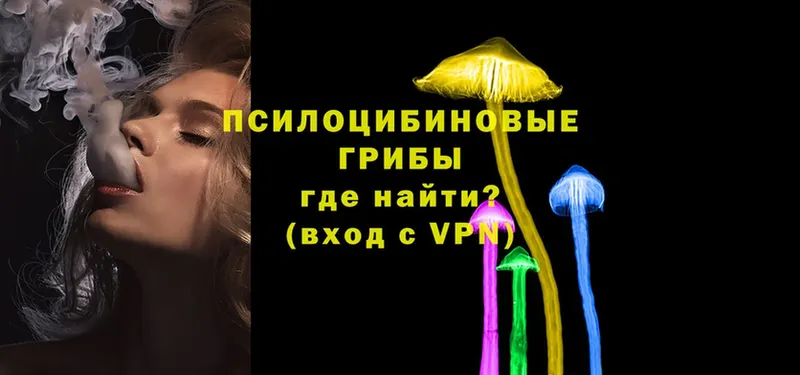 Псилоцибиновые грибы Magic Shrooms  купить наркотики сайты  Дудинка 